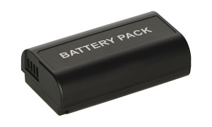 DMW-BLJ31 Batteri (2 Cells)