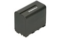 CCD-TRV416 Batteri (6 Cells)