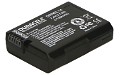 D5500 Batteri